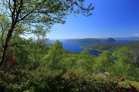 夏天 夏季 天空 景象 漫无目的 挪威 峡湾 远景 苍穹