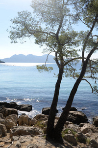 海岸 半岛 风景 马洛卡 自然 海洋 西班牙 地中海 乡村