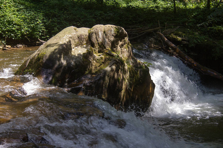 夏季 瀑布 海鞘 夏天 在里面 森林 流动 奥地利人 自然