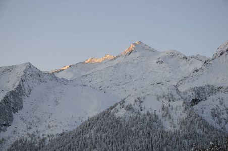 自然 风景 乡村 阿尔卑斯山 陶恩 冬天 首脑会议 高的