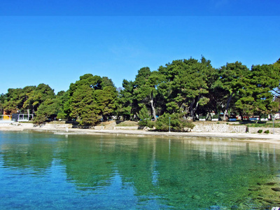 天空 海岸 海的 蔚蓝 美丽的 海滨 风景 波动 热的 假期