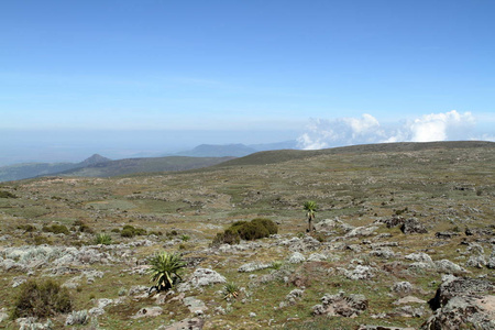 西班牙 岩石 徒步旅行 天空 火山 夏天 旅行 乡村 风景