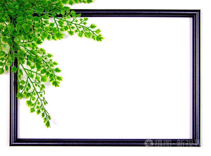 装饰性构图白底黑相框枝叶枝干平面布置俯视图复印空间