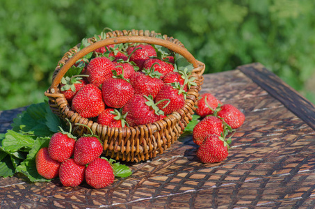 Strawberries with green leaves in a wicker basket 