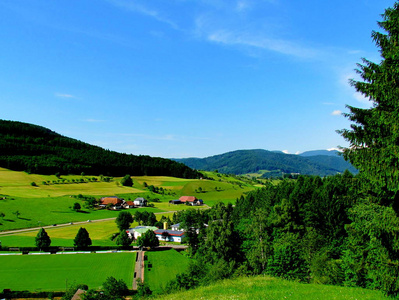 森林 美丽的 旅游业 村庄 小山 草地 风景 自然 欧洲