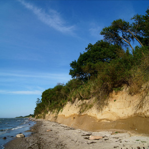 波罗的海 风景 自然 海滩 旅行 旅游业 海洋 海滨