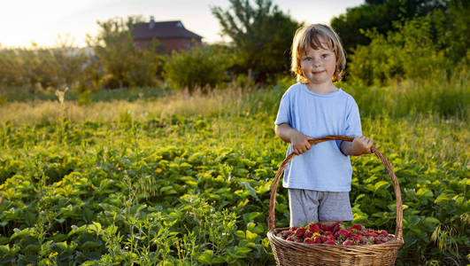 带草莓的孩子阳光明媚的花园