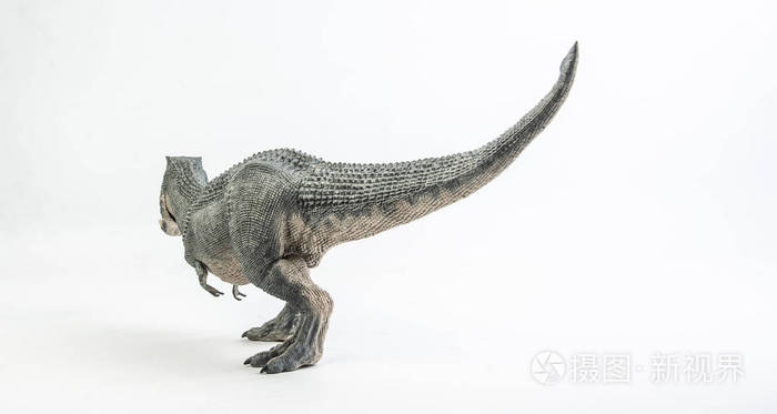 白底恐龙霸王龙