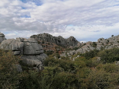 美丽的 旅行 旅游业 小山 风景 森林 夏天 草地 欧洲