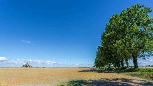 公园 美丽的 夏天 旅游业 旅行 领域 风景 布列塔尼 法国