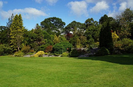 自然 爱尔兰 风景 公园 花园 草地 植物