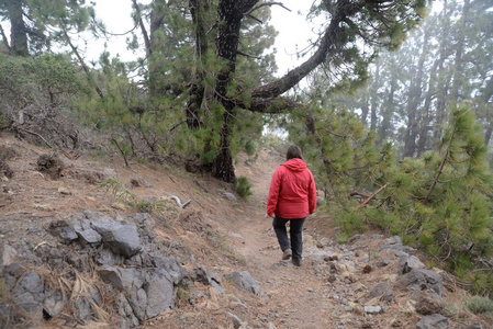 岛屿 徒步旅行 侄女 漫无目的 帕尔马 金丝雀 西班牙 人类