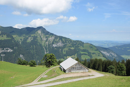 房子 山谷 小屋 风景 小山 森林 自然 旅游业 阿尔卑斯山