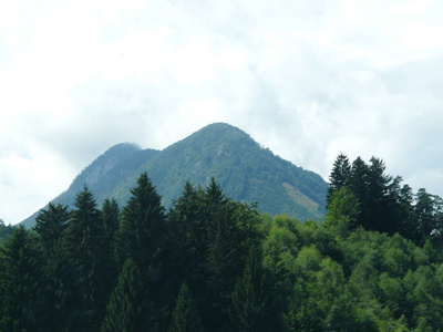 旅行 岩石 旅游业 公园 小山 全景图 风景 夏天 森林