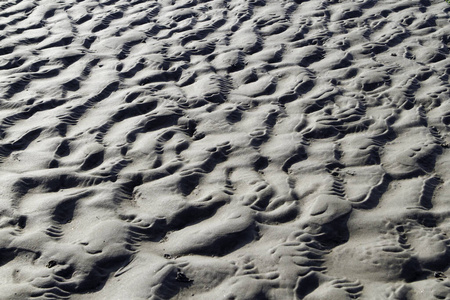 夏天 犁沟 海洋 反射 塑造 形成 夏季 纹理 黑发 海滩