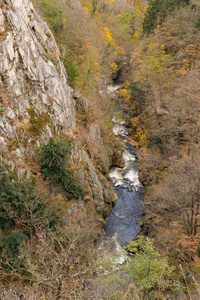 十一月 乡村 峡谷 树叶 菩提树 树脂 山谷 流动 自然