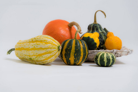 五颜六色的圆水果图片