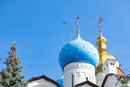 夏天 城市 莫斯科 大教堂 文化 旅游业 历史 地标 历史的