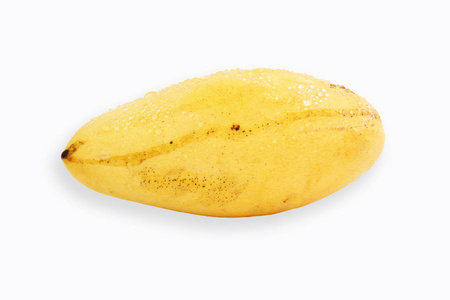 Yellow mango with water drop isolated on white background 