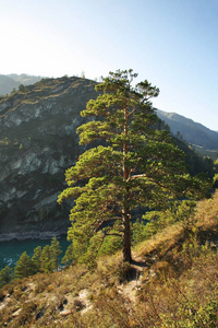 自然 外部 森林 场景 村庄 岩石 小山 俄罗斯 化学 攀登