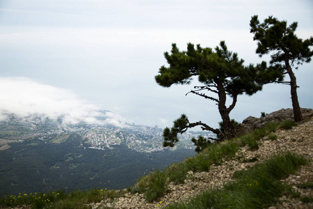 全景图 自然 夏天 城市 旅游业 天空 风景 旅行