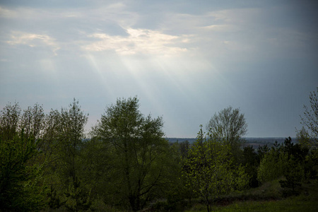 旅行 旅游业 太阳 俄罗斯 春天 自然 风景 森林 天空