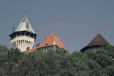 斯摩棱尼城堡俯视图在夏季斯摩棱尼斯镇附近，斯洛伐克