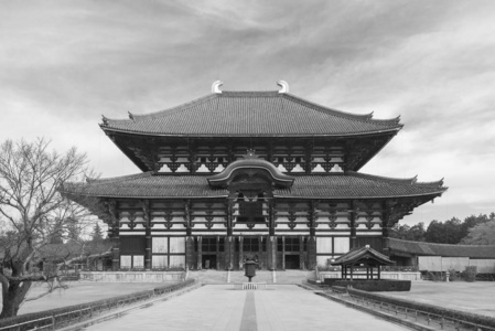 遗产 单色 宗教 旅行 建筑 佛陀 寺庙 风景 圣地 日本人