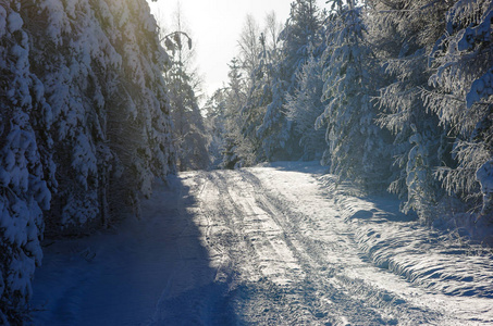 冬季森林雪路