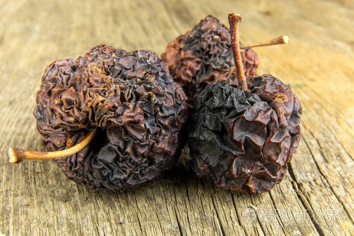 枯萎的苹果老苹果起皱的苹果纹理皮肤干燥枯萎的老水果