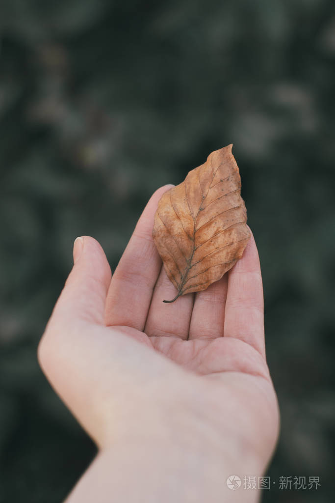 一个女人手里拿着菩提叶在模糊的绿色背景上作者彩色处理大气照片