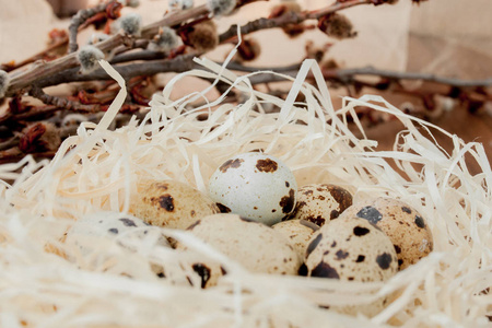 复活节鹌鹑蛋在巢和柳枝木背景