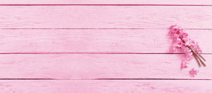 粉红色木质背景上的粉红色风信子