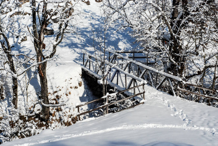 降雪 风景 旅行 美丽的 美女 寒冷的 天气 场景 仙境