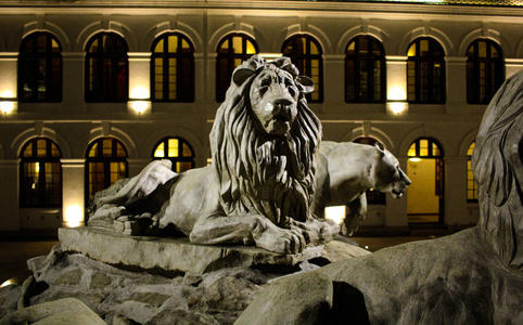 斯里兰卡独立广场的狮子雕像