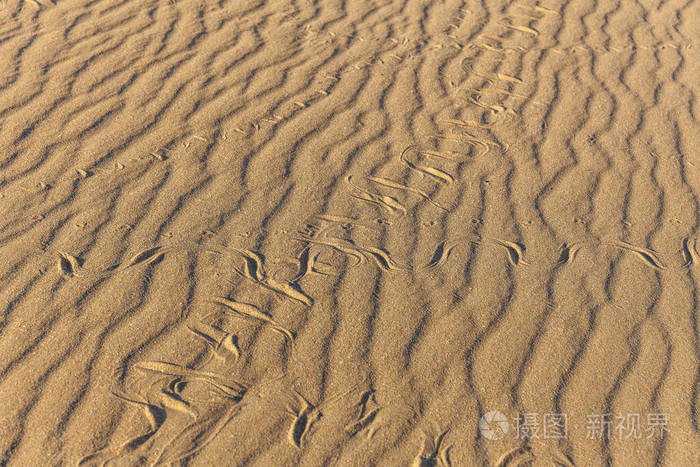 沙子里有蛇的痕迹砂质结构背景来自棕色的沙子选择性聚焦