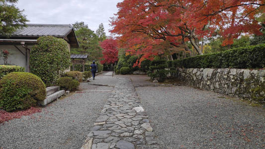 天龙寺秋色园