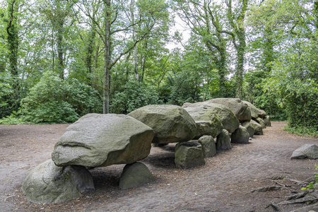 领域 美女 森林 荷兰 考古 博尔格 自然 纪念碑 旅游业