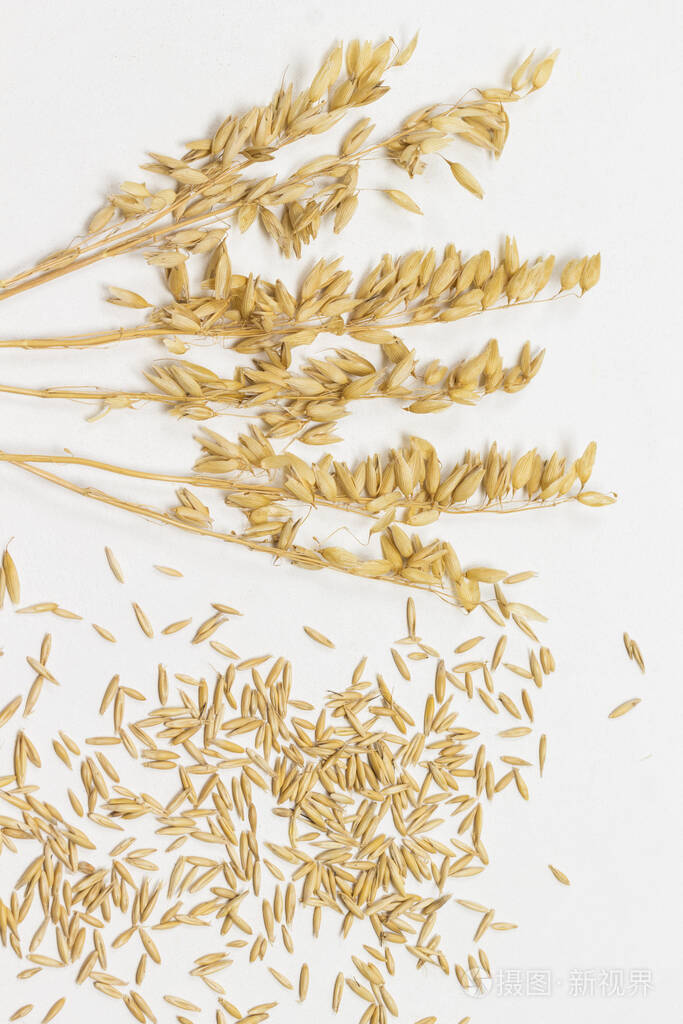 燕麦的谷粒和小穗膳食纤维