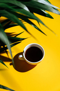 清晨的咖啡色背景和棕榈枝。在模糊的背景和复制空间。