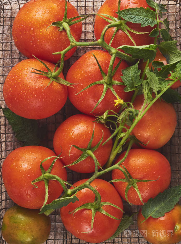 木质背景上的新鲜生西红柿