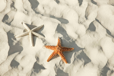 天堂 夏季 阳光 海滨 旅游业 海滩 明星 自然 海的 夏天