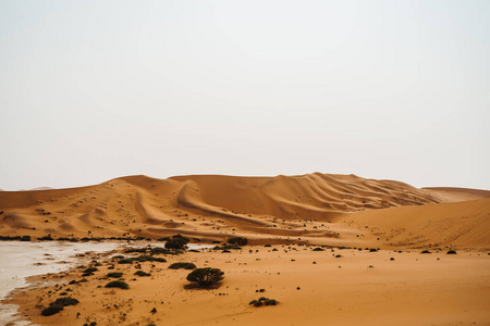 沙漠干涸区与砂体结构图片