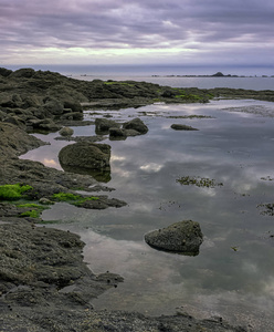 夏天 日出 海滨 旅游业 场景 海洋 暮光 沿海 黄昏 通道