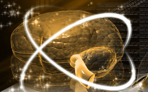 纹理 想象 三维 丘脑 教育 插图 器官 技术 小脑 提供
