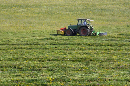 闪耀 夏天 农民 夏季 领域 干草 收获 农业经济 风景