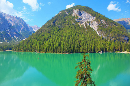 绿化 风景 假期 美国 意大利 白云石 加拿大 自然 欧洲