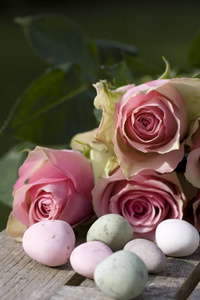玫瑰 颜色 流血 柔和的 鸡蛋 繁荣昌盛 绿松石 粉红色