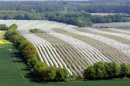 天空 德国 自然 农场 欧洲 收获 领域 土地 鸟瞰图 春天