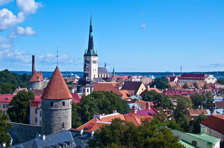 欧洲 遗产 爱沙尼亚 地标 首都 城市景观 塔林 全景图